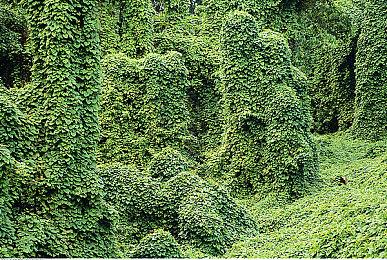 《苏菲的炼金工房2》新角色系统曝出 玩迷你游戏得素材